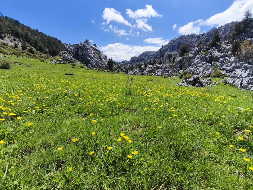 Konya’nın ünlü yaylasında baharın renkli yüzü çıktı 24
